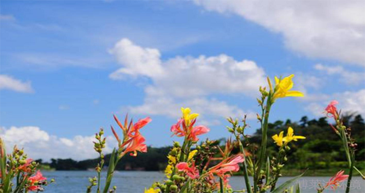 995426e925f07ca308aaf4b54aa1dfc.png 995426e925f07ca308aaf4b54aa1dfc.png